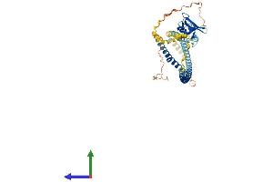 AlphaFold protein structure predicition of Human Recombinant MSR1 Protein, UniprotID P21757