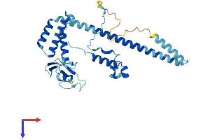 AlphaFold protein structure predicition of Human Recombinant MNAT1 Protein, UniprotID P51948