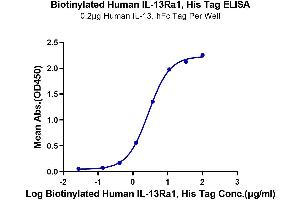 Immobilized Human IL-13, hFc Tag at 2 μg/mL (100 μL/well) on the plate.