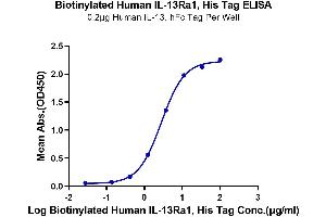 Immobilized Human IL-13, hFc Tag at 2 μg/mL (100 μL/well) on the plate. (IL13 Receptor alpha 1 Protein (AA 27-343) (His-Avi Tag,Biotin))