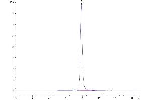 The purity of Human BTN3A1/CD277 is greater than 95 % as determined by SEC-HPLC.
