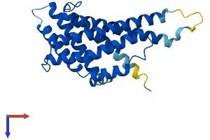 AlphaFold protein structure predicition of Human Recombinant PEX11G Protein, UniprotID Q96HA9