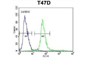 KCTD12 Antibody (Center) (ABIN653221 and ABIN2842756) flow cytometric analysis of T47D cells (right histogram) compared to a negative control (left histogram). (KCTD12 anticorps  (AA 242-269))