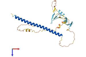 AlphaFold protein structure predicition of Human Recombinant ATF1 Protein, UniprotID P18846
