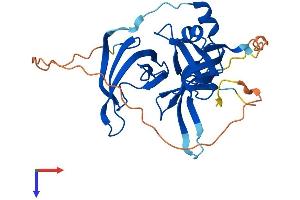AlphaFold protein structure predicition of Mouse Recombinant Spin1 Protein, UniprotID Q61142