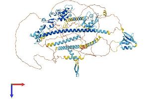 AlphaFold protein structure predicition of Mouse Recombinant Pdzrn3 Protein, UniprotID Q69ZS0