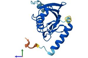 AlphaFold protein structure predicition of Mouse Recombinant Ube2ql1 Protein, UniprotID A0PJN4