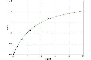 A typical standard curve