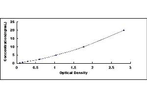 Typical standard curve