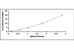 Typical standard curve (CYP2C19 Kit ELISA)