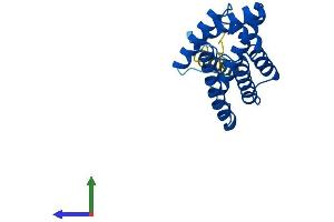 AlphaFold protein structure predicition of Human Recombinant TNFAIP8 Protein, UniprotID O95379