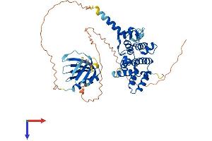 AlphaFold protein structure predicition of Mouse Recombinant Arhgap15 Protein, UniprotID Q811M1