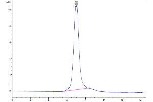 The purity of Mouse ITGA2&ITGB1 is greater than 95 % as determined by SEC-HPLC.