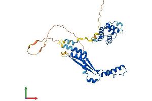 AlphaFold protein structure predicition of Human Recombinant DEDD Protein, UniprotID O75618