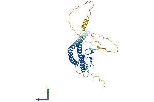AlphaFold protein structure predicition of Human Recombinant ING2 Protein, UniprotID Q9H160