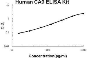 Human CA9 PicoKine ELISA Kit standard curve (CA9 Kit ELISA)