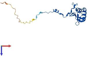AlphaFold protein structure predicition of Mouse Recombinant Mrpl49 Protein, UniprotID Q9CQ40