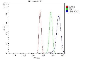 Flow Cytometry analysis of U251 cells using anti-HP1 alpha/CBX5 antibody (ABIN7599057). (CBX5 anticorps  (AA 1-191))