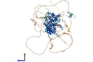AlphaFold protein structure predicition of Human Recombinant OTUD7A Protein, UniprotID Q8TE49