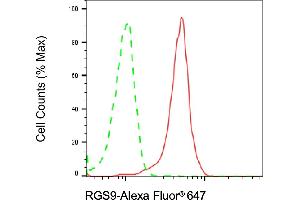 Flow cytometric analysis of RGS9 expression in SH-SY5Y cells using RGS9 antibody (ABIN7800165), 1:2,000). (Recombinant RGS anticorps)
