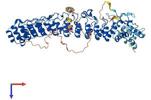 AlphaFold protein structure predicition of Mouse Recombinant Asb2 Protein, UniprotID Q8K0L0