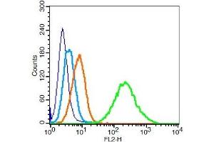 293T cells probed with PARK7 Polyclonal Antibody, Unconjugated  at 1:100 for 30 minutes followed by incubation with a conjugated secondary (PE Conjugated) (green) for 30 minutes compared to control cells (blue), secondary only (light blue) and isotype control (orange). (PARK7/DJ1 anticorps  (AA 101-189))