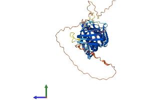 AlphaFold protein structure predicition of Mouse Recombinant Rad9b Protein, UniprotID Q6WBX7