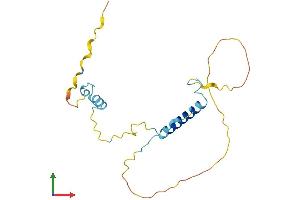 AlphaFold protein structure predicition of Mouse Recombinant Smap Protein, UniprotID Q9R0P4