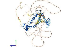 AlphaFold protein structure predicition of Human Recombinant CSRNP3 Protein, UniprotID Q8WYN3