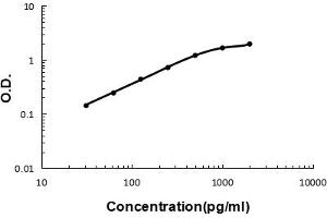 Sandwich ELISA - Recombinant human BCMA/TNFRSF17 protein standard curve.
