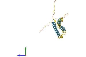 AlphaFold protein structure predicition of Mouse Recombinant Ninj1 Protein, UniprotID O70131