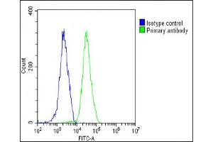Overlay histogram showing Hela cells stained with (ABIN6244035 and ABIN6578797)(green line).