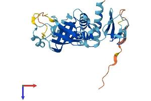 AlphaFold protein structure predicition of Human Recombinant EXOSC2 Protein, UniprotID Q13868