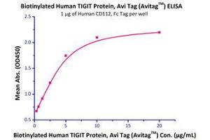 Immobilized Human CD112, Fc Tag (Cat# PV2-H5253) at 10 μg/mL (100 μL/well) can bind Biotinylated Human TIGIT, His Tag  with a linear range of 0.