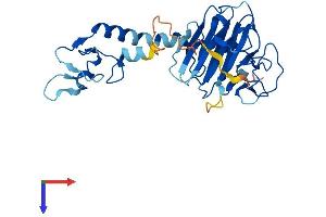 AlphaFold protein structure predicition of Human Recombinant RFPL3 Protein, UniprotID O75679