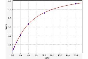 Typical standard curve (HMGB3 Kit ELISA)