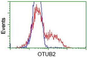 HEK293T cells transfected with either RC209650 overexpress plasmid (Red) or empty vector control plasmid (Blue) were immunostained by anti-OTUB2 antibody (ABIN2453407), and then analyzed by flow cytometry. (OTUB2 anticorps)