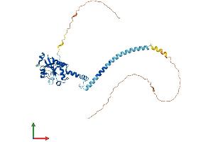 AlphaFold protein structure predicition of Human Recombinant PCYT1B Protein, UniprotID Q9Y5K3