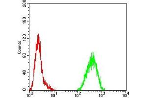 Flow cytometric analysis of Hela cells using SOX11 mouse mAb (green) and negative control (red).