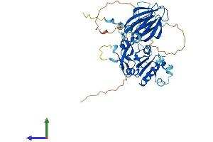 AlphaFold protein structure predicition of Human Recombinant NADK Protein, UniprotID O95544