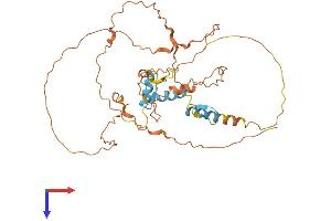 AlphaFold protein structure predicition of Mouse Recombinant Sp6 Protein, UniprotID Q9ESX2