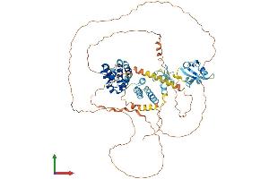 AlphaFold protein structure predicition of Human Recombinant SP110 Protein, UniprotID Q9HB58