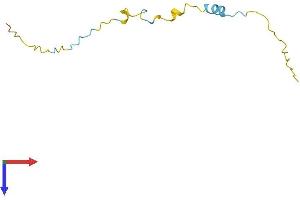 AlphaFold protein structure predicition of Mouse Recombinant Pkib Protein, UniprotID Q04758
