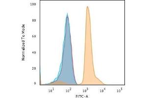 Flow Cytometric Analysis of human Jurkat cells using PD-L1 Mouse Monoclonal Antibody (PDL1/2743) followed by Goat anti-Mouse IgG-CF488 (Orange); cells alone (Blue); Isotype Control (Red). (PD-L1 anticorps  (AA 39-191))