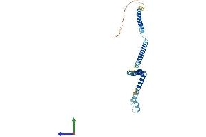 AlphaFold protein structure predicition of Human Recombinant CENPH Protein, UniprotID Q9H3R5