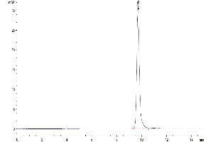 The purity of Human IL-1 alpha/IL-1A is greater than 95 % as determined by SEC-HPLC.