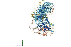 AlphaFold protein structure predicition of Human Recombinant PEX6 Protein, UniprotID Q13608