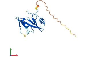 AlphaFold protein structure predicition of Mouse Recombinant Sh2d1b Protein, UniprotID O35324