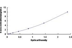 Typical standard curve (RCN2 Kit ELISA)