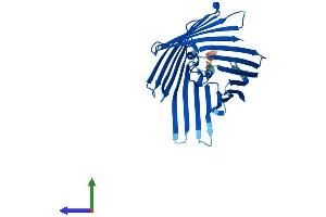 AlphaFold protein structure predicition of Human Recombinant TOMM40L Protein, UniprotID Q969M1